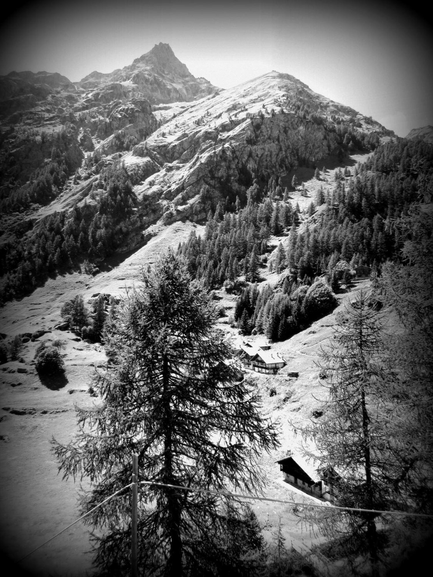 Il Piccolo Residence Gressoney-la-Trinité Exteriör bild