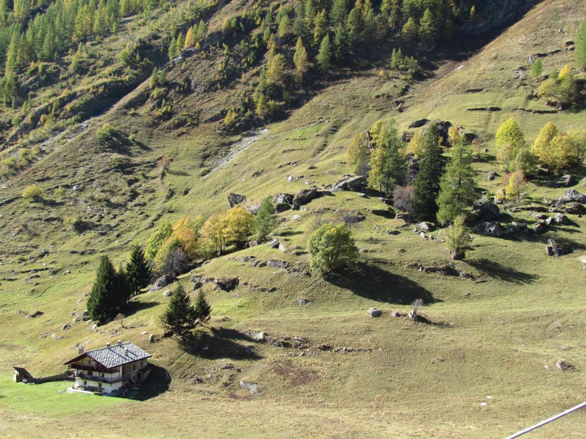 Il Piccolo Residence Gressoney-la-Trinité Exteriör bild